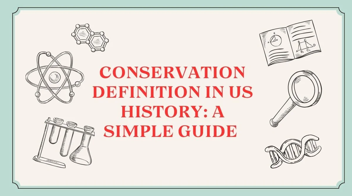Conservation Definition in US History: A Simple Guide