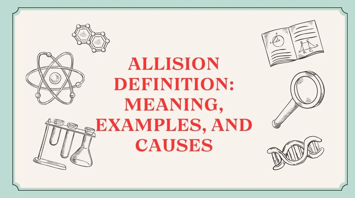 Allision Definition: Meaning, Examples, and Causes