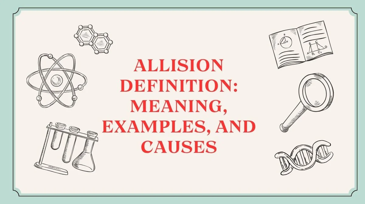 Allision Definition: Meaning, Examples, and Causes