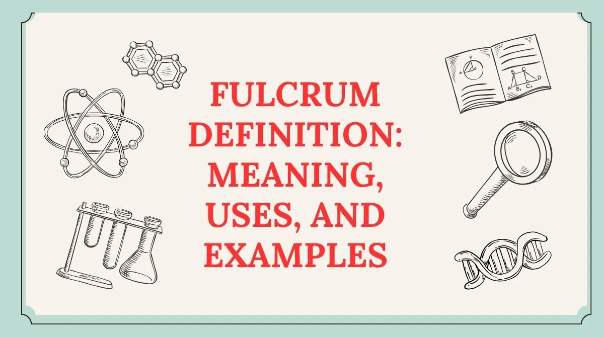 Fulcrum Definition: Meaning, Uses, and Examples