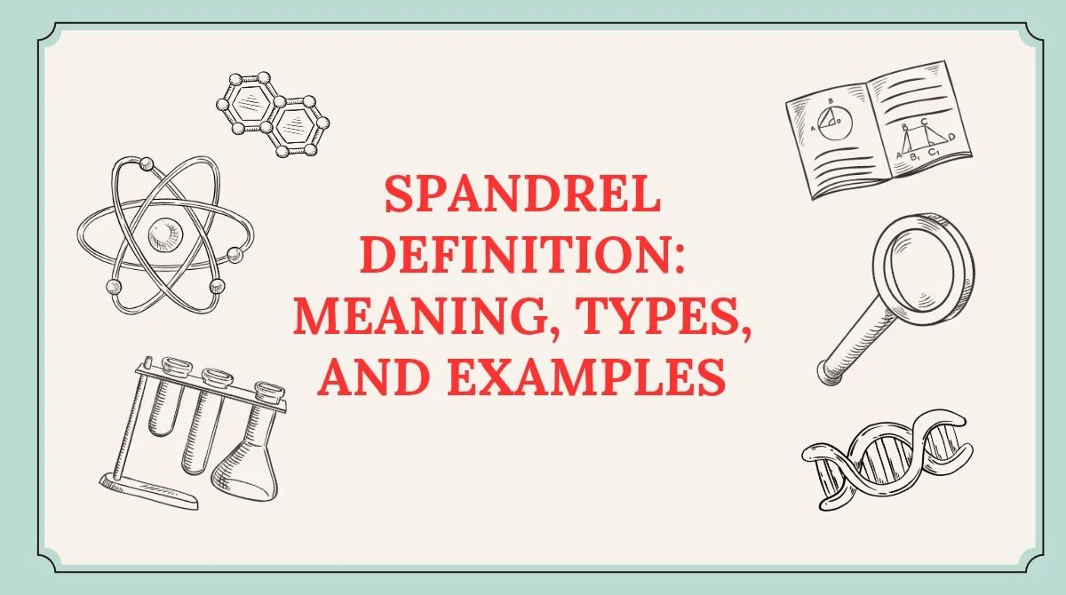 Spandrel Definition: Meaning, Types, and Examples