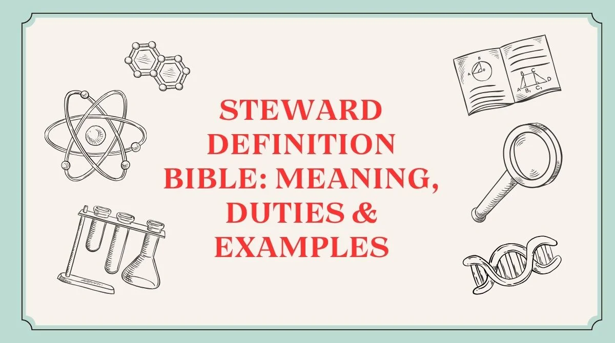 Steward Definition Bible: Meaning, Duties & Examples